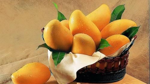 芒果如何催熟吃着放心？学会这3种方法，几天就能吃，快速又简单