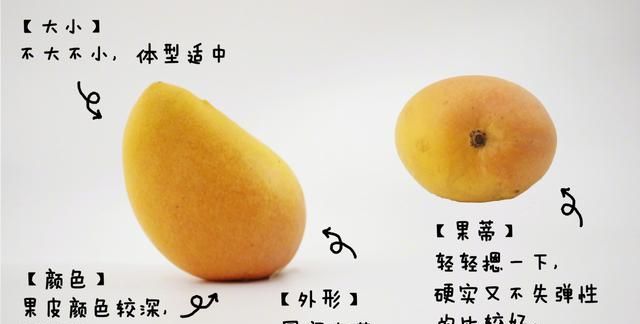 芒果的分类和食用