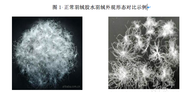 广州消委会检测羽绒服：千元货竟用“胶水绒”