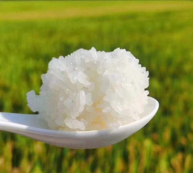 在东北大米流行的当下，这款浙产冷鲜大米靠啥优势媲美？