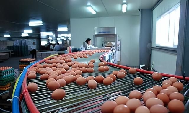 世界上的鸡蛋要不够吃了？多国蛋价翻倍增长，背后可能有更大隐患