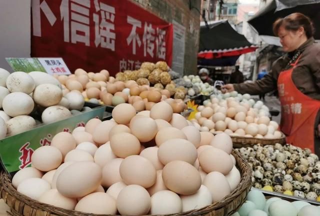 世界上的鸡蛋要不够吃了？多国蛋价翻倍增长，背后可能有更大隐患