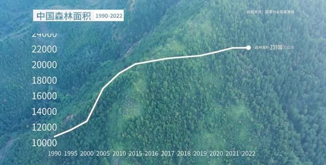 国际森林日｜多项世界第一，中国林业当仁不让