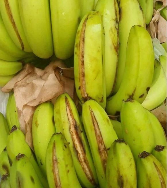 青蕉、黄蕉果皮开裂原因分析及解决方案