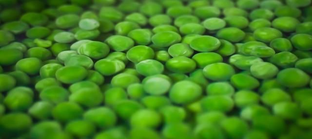 小小一颗的豌豆如何有效提取淀粉？