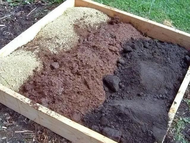 养花旧土不要急着扔掉，做好“三步骤”，又可以变成肥沃的营养土
