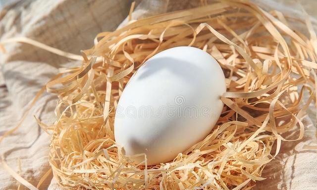 鹅蛋怎么腌制流油 鹅蛋黄的营养价值有哪些