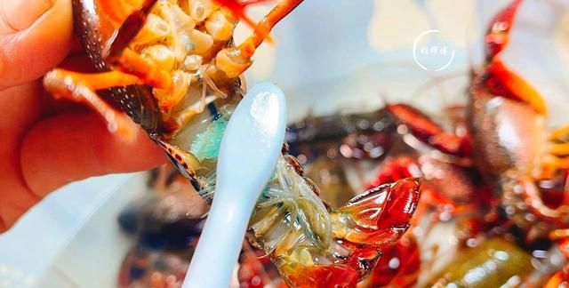 买小龙虾：“青壳”和“红壳”的区别很大！弄懂再买，不花冤枉钱