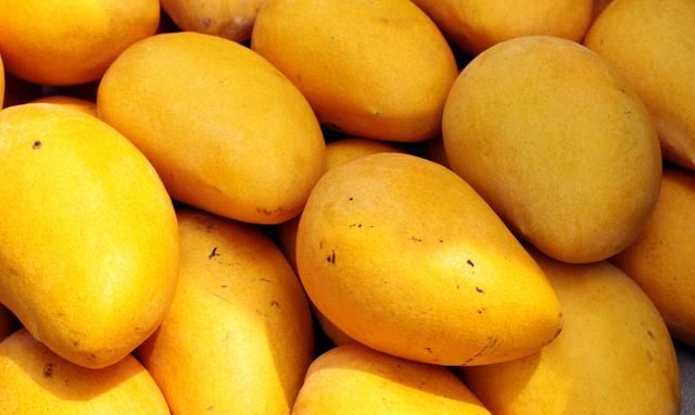 关于芒果催熟的相关问题，了解清楚，网购芒果是真香