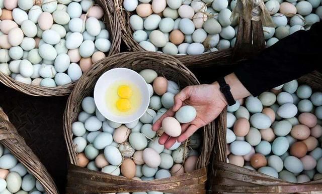 1枚鹅蛋等于4枚鸡蛋大小，营养更丰富，为啥很少有人吃鹅蛋？
