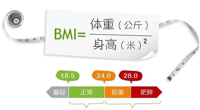 体重指数(BMI)计算方法