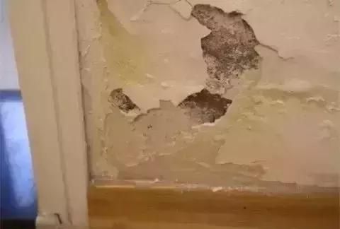 墙面渗水，该怎么处理？