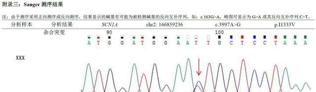 基因检测报告怎么读 我们要讨论的你是3个G这么大