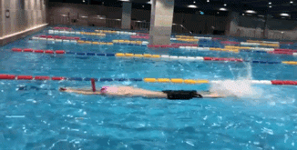 学习自由泳：要不要使用「脚蹼」？何时用？如何用？