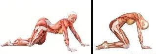 8 种最佳拉伸运动，提高柔韧性