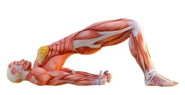 8 种最佳拉伸运动，提高柔韧性