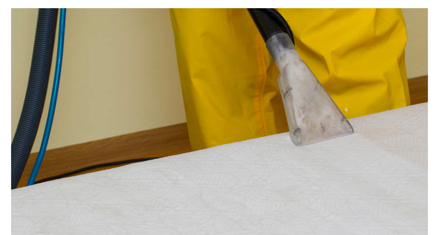 你家沙发、床垫该清洗啦！除尿渍除灰尘除霉菌，让家具焕然一新