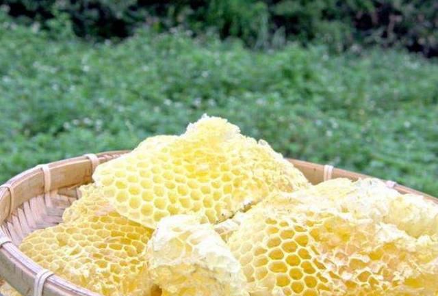 诱蜂箱中蜂蜡的正确烧法，养蜂新手无从下手的原因