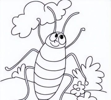 蟑螂为什么不用翅膀？它们的智商超高？