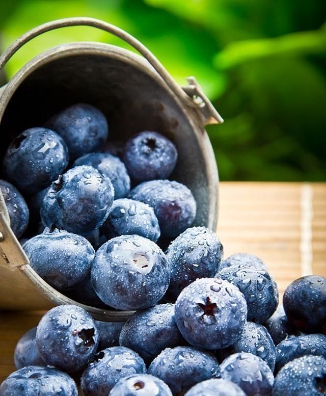 选购当季蓝莓时怎么看出是否变质？学会这几点轻松辨别
