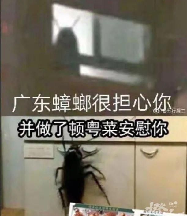 太像了吧！广东最大的蟑螂竟是白云机场？网友：一旦接受这个设定