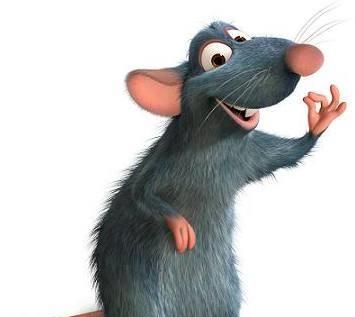 粘鼠板的目标是老鼠，那黏在地板上的粘鼠板胶该怎么处理呢？