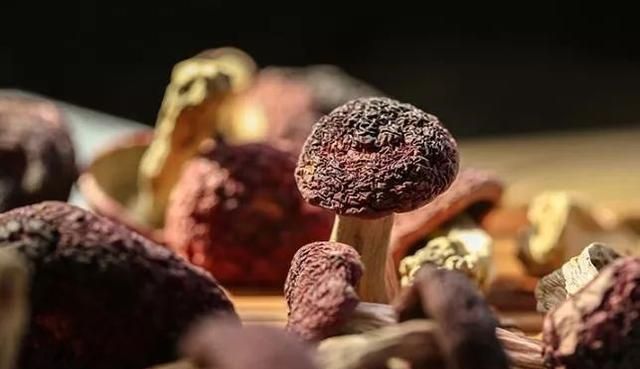 云南野生红菇，营养健康又舒服，你知道怎么吃吗？