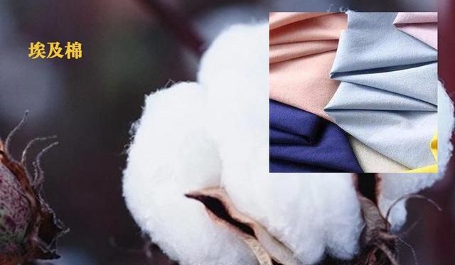 各种“棉”怎么选：关于棉面料你该知道的知识