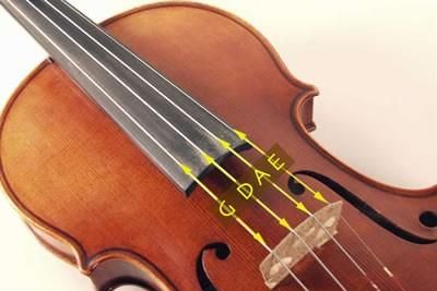 提琴有几根琴弦构成？
