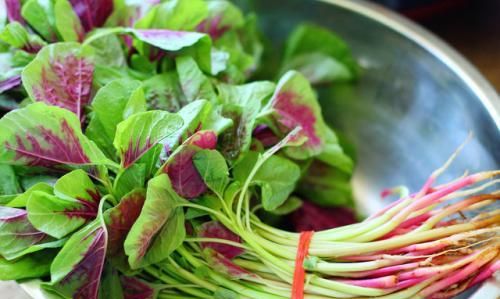 红苋菜号称“长寿菜”，可你知道怎么烹饪，才能保留营养吗？