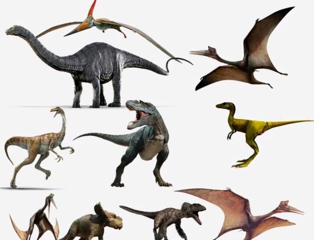 恐龙总共有多少种？