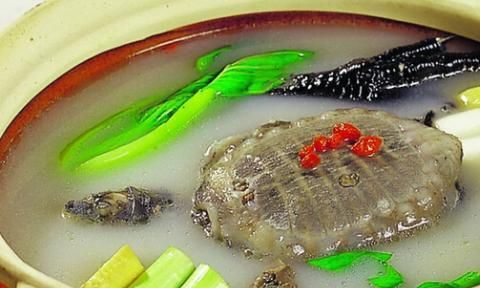 吃了多年甲鱼，这16种不同的美味做法是最受家人喜欢的了