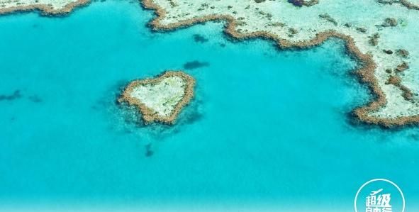澳大利亚的大堡礁有什么特别之处图6