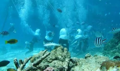澳大利亚的大堡礁有什么特别之处图10