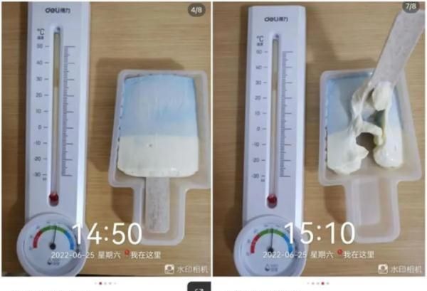 钟薛高在31℃下放1小时不化，食品增稠剂对人体是否有害？