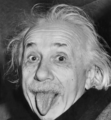 和爱因斯坦一样的科学家有哪些,和爱因斯坦相似的科学家图3