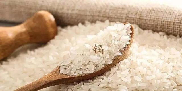 水稻镉超标对人体的危害,水稻镉污染会得什么病图2