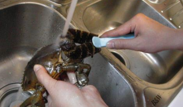 大闸蟹怎样清洗最干净？为何要在盐水中浸泡？附微波炉大做法