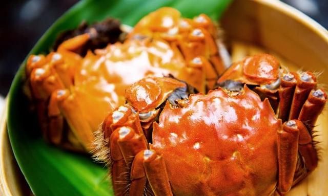 螃蟹的营养价值，及功效与作用！关于吃螃蟹原来还有这么多禁忌