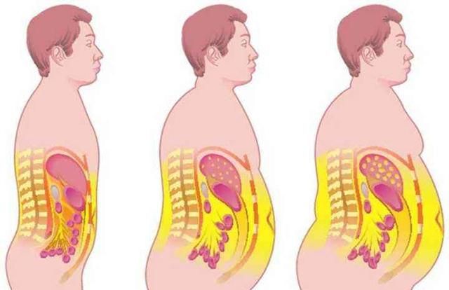 身体为什么需要脂肪(身体冷会消耗脂肪吗)图2