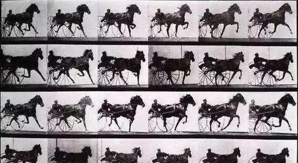 电影的诞生与马有关吗,电影里的马是哪里来的图2
