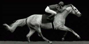 电影的诞生与马有关吗,电影里的马是哪里来的图3