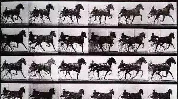 电影的诞生与马有关吗,电影里的马是哪里来的图4