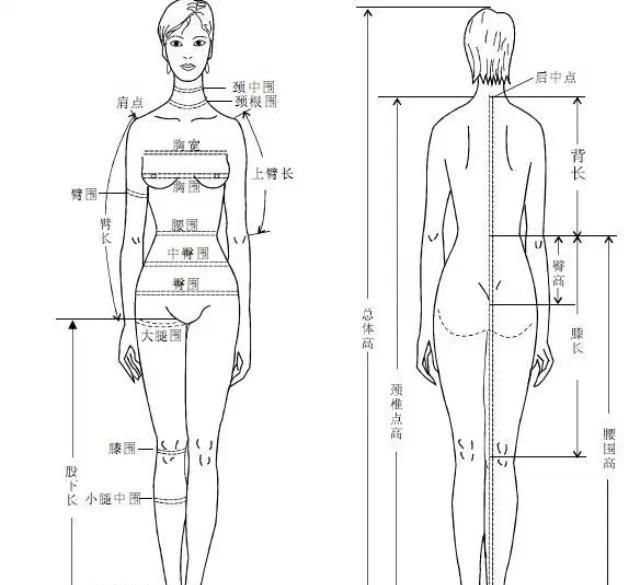 如何进行人体测量,人体测量示意图图1