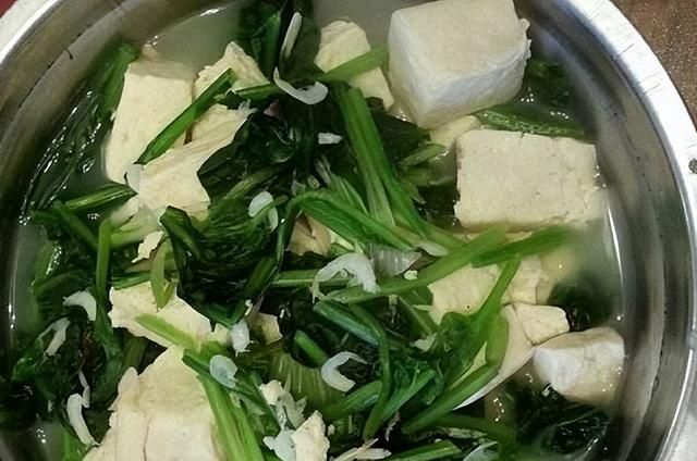 好心提醒：菠菜与豆腐不能一起吃，营养低还会患结石？是真的吗？