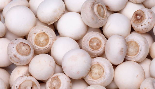 双孢菇5种最好吃的做法，每种都简单美味，看看你喜欢吃哪种？