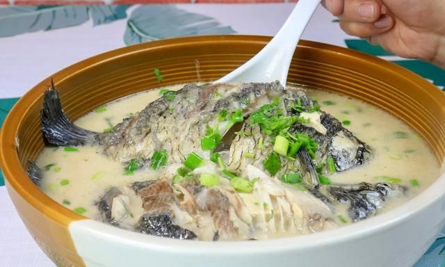 鲫鱼炖豆腐的最佳做法，看厨师长的手艺，汤汁奶白，味道鲜到极致