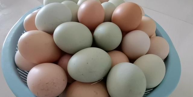 如何辨别真假土鸡蛋，看这几点就行，学会再也买不到假货了
