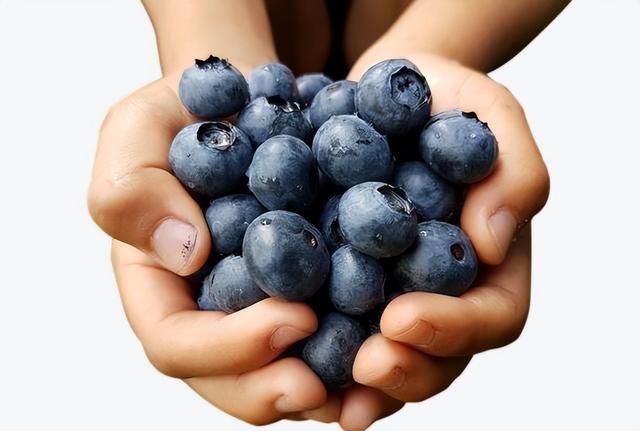 每天吃一盒蓝莓身体会发生什么，皮肤真的会变白？视力真的会变好