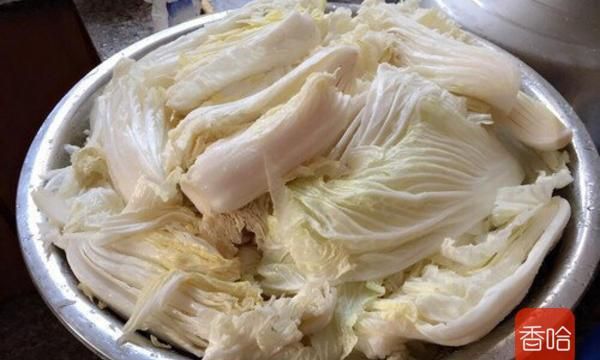 自制正宗韩国泡菜，告诉你配方比例，简单又方便，腌几天就能吃！